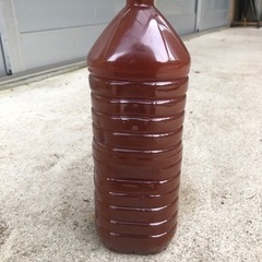 PSB細胞2,000ml