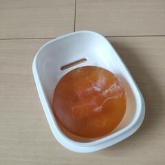 モイスティーヌ クレンジングセラム、ヒドラソープ　使いかけの画像