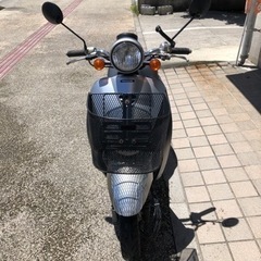 HONDA AF69   トゥデイ　試乗可能　商談中