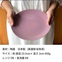 美濃焼　カラフル　プレート　丸型　円形　大きめ皿　食器　カフェ　フランフラン　 昭和レトロ  23.5の画像