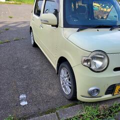 ダイハツミラーココア2010の画像