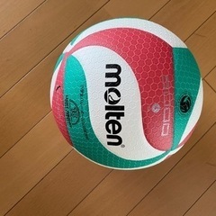 バレーボール　4号球　軽量(小学生用)