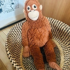 カゴの画像