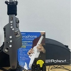 Roland AEROPHONE AE10