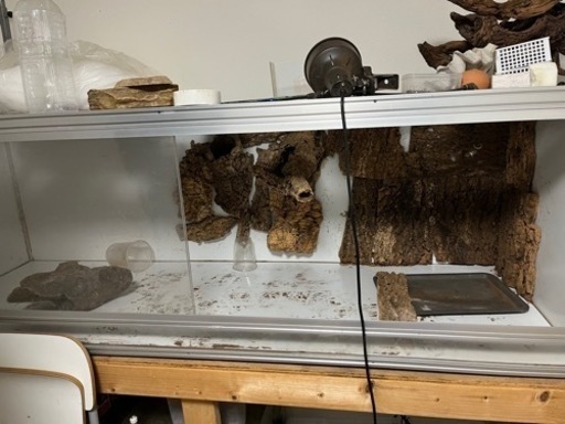 180 爬虫類 ケージ 大阪 池田市 引き取り限定