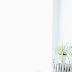 2-3歳児向けの英語レッスン♪♪  午前中…午後２時まで　残り1枠