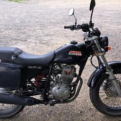 HONDA-FTR223の画像