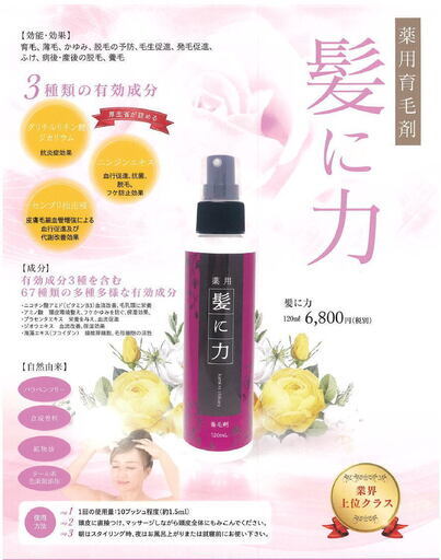髪に力(薬用育毛剤)  2本セット