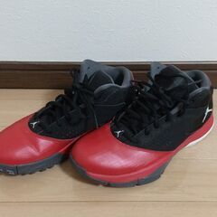【美品】25.0cm_JORDAN COURT VISION 9...