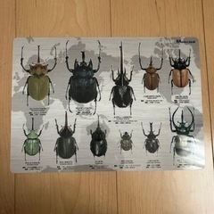 昆虫下敷き　カブトムシ　の画像