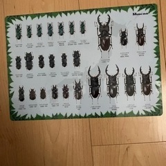 クワガタ　下敷き　2の画像