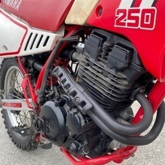 ヤマハ　YAMAHA TT250 逆車　エンデューロ　オフロード バイクの画像