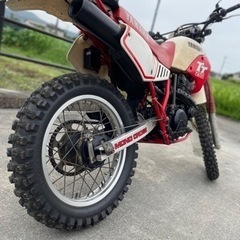 ヤマハ　YAMAHA TT250 逆車　エンデューロ　オフロード バイクの画像