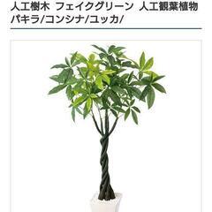 再掲　フェイクグリーン　人工観葉植物の画像