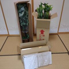 再掲　フェイクグリーン　人工観葉植物の画像