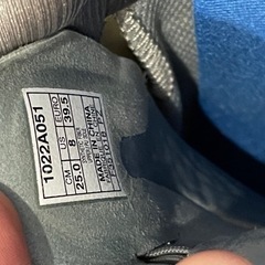 25cm【asics/スニーカー】の画像