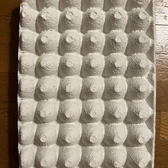 卵パック・紙卵パック