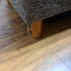 NOCE ソファの画像