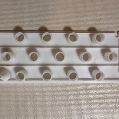 水耕栽培　灯菜の画像