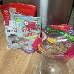 ハムスターセット