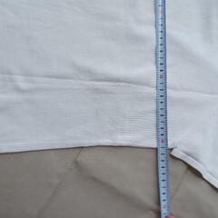 新品　半袖カットソー NATURAL BEAUTY BASIC　Lの画像