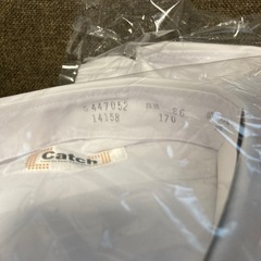 中学生位の半袖白Yシャツ2枚の画像