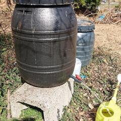 雨水タンクコック付き、家庭菜園、メダカの画像