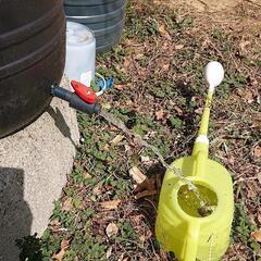 雨水タンクコック付き、家庭菜園、メダカの画像