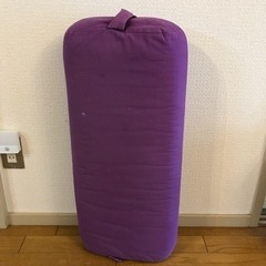 カインズ　ヨガクッション　差し上げます　決まりました