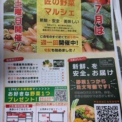 7/15(土)、7/22(土)　匠の野菜マルシェ ２０種以上の無...