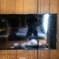 【液晶割れ】ハイセンス 43V型 液晶 テレビ HJ43K3121