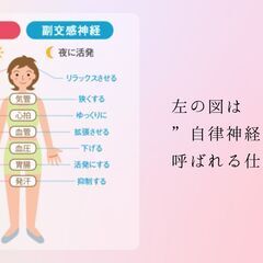 今回のみ1回目無料です★NEW★オンライン講座①自律神経と睡眠　4月2５日(木)20時から　の画像