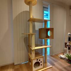 木製キャットタワーの画像