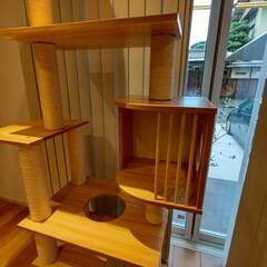 木製キャットタワーの画像