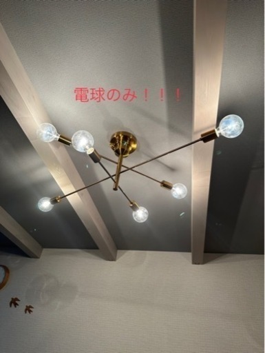 丸型白熱電球26型×6