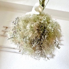 スモークツリー　小分けの画像