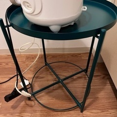 GLADOM グラドム トレイテーブル　ダークグリーン