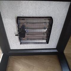 こたつ　決まりました!の画像