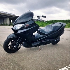 ✅スズキ スカイウェブ250✅エアサスタイプの画像
