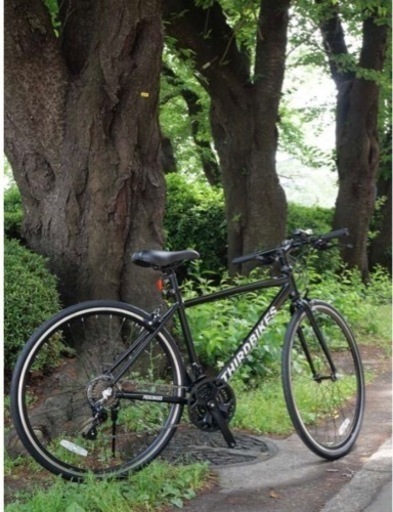 クロスバイク　THIRDBIKES FESS CROSS