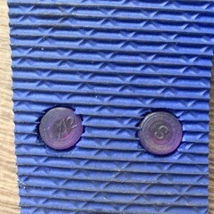 恐竜サンダル17センチの画像