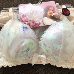 ブラショーツセットD70