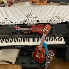 🎶ギター&ウクレレの訪問教室🎶貸出楽器100円/1日〜🎶お気楽、極楽、音楽🎶の画像