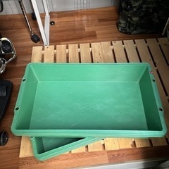 メダカ　ビオトープ　トロ舟