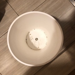 鉢　複数の画像
