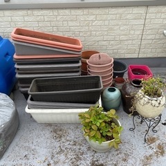 植木鉢　使用可能の画像