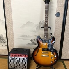 （決定しました）エレキギター セミアコの画像