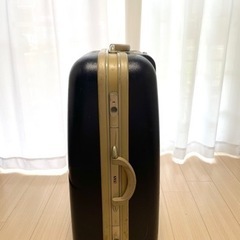 キャリーケース Lサイズ 7泊〜の画像