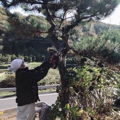 常陸大宮市の便利屋すずき！不用品回収から空き家の片付け、草刈り、伐採お任せください！！ − 茨城県