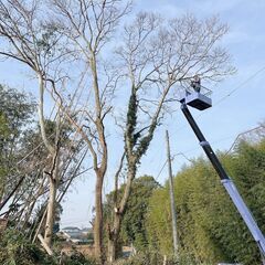 常陸大宮市の便利屋すずき！不用品回収から空き家の片付け、草刈り、伐採お任せください！！ - 地元のお店